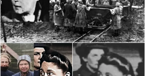 Death Sentence for the 'Angel of Death' Grete Bösel: The Horrifying Truth About the Female Overseer Who Dehumanized People as 'Trash' and Her Inescapable End Before the Law!