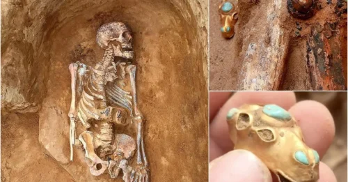 A farmer digging a hole on his land revealing a beautiful 2,000-year-old treasure trove with countless gold, silver, weapons, and valuable objects of gold inside the ancient tomb of a ‘royal’