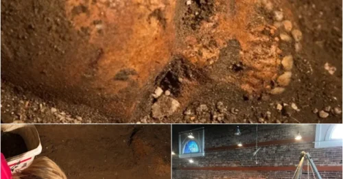 Skeletons Found Under a Florida Wine Shop May Be Some of America’s First Colonists