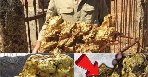 California’s famous 98-ounce gold nugget sold for $460,000 and sparked a gold rush in Washington