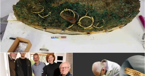 The world’s largest Iron Age coin hoard with 74,000 gold coins discovered on the island of Jersey worth up to 10 million pounds