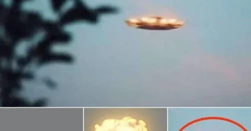 Mysterious sightings of UFOs in the Hawaiian mountains have locals on edge and experts puzzled