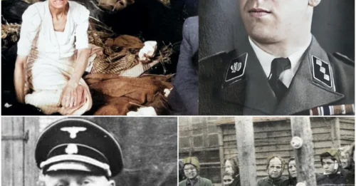THE SUICIDE THAT SILENCED A MONSTER: How Ravensbrück's Commandant Fritz Suhren Cheated Justice for His Personal Crimes.