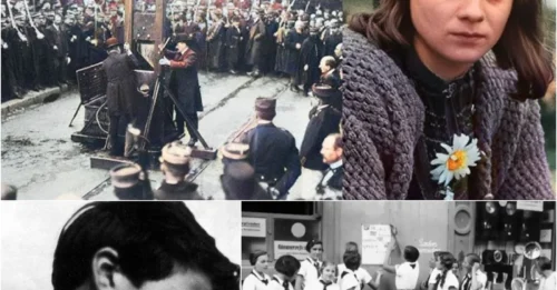 THE GALLOWS' PROPHECY: Just Before the Noose Snapped Tight, a Defiant Sophie Scholl Stared Down Her Executioners and Hissed a Curse That Would Echo Through History