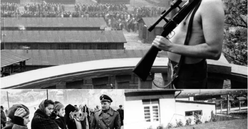 THE DEATH BALCONY OF A MONSTROUS NAZI: The story of Amon Goeth's unforgivable crimes - the man who turned his morning coffee into a gruesome spectacle of random executions, deciding who lived and who died in the Płaszów camp