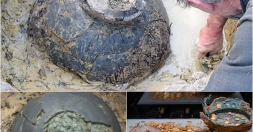 A treasure trove of ancient Roman coins dating from the 3rd century AD was discovered by a lucky 63-year-old man in a field buried underground for 1800 years.