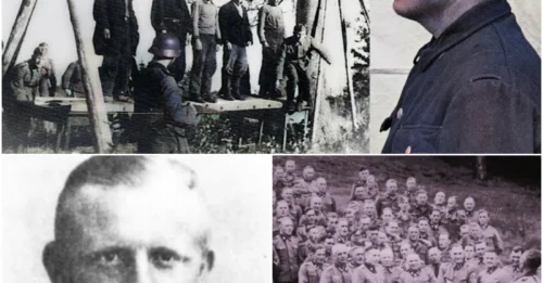 THE FIRE-KEEPER OF AUSCHWITZ: Inside the Mind of Otto Moll, The Man Who Oversaw the Crematoria and Directed Operations Marked by Extreme Cruelty 7