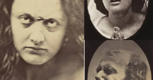 Unearthing a Lost Archive: Haunting Images from a Long-Hidden Scientific Experiment