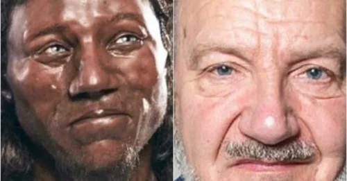 An English Teacher of History and a 9000-year-old cheddar man have the same DNA