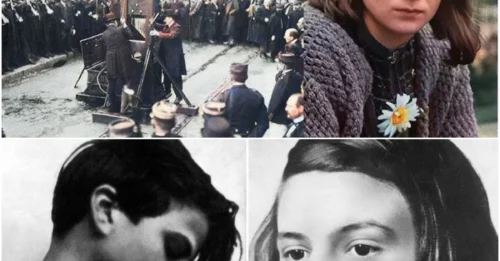 THE FINAL WHISPER OF THE WHITE ROSE: The Fateful Words Sophie Scholl Spoke to Her Captors Just Moments Before Her Voice Was Lost to History 7