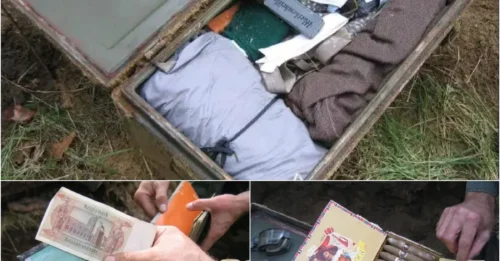 The man was extremely surprised when he dug up an iron chest containing countless memorabilia buried right in his garden 70 years ago, including cigars and wine with intact bottles