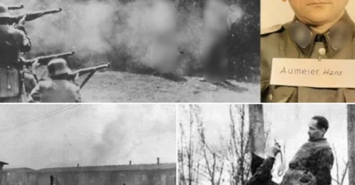THE DEPUTY OF DARKNESS: Inside the Brutal Regime of Hans Aumeier, The Man Who Oversaw the Crematoria and Ordered the Mass Punishment of 144 Women in a Single Day 7