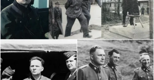 THE AUSCHWITZ MACHINE: Rudolf Höss – The Man Who Industrialized Death at Auschwitz – Over One Million Lives Extinguished Under His Command and the Gallows' Reckoning