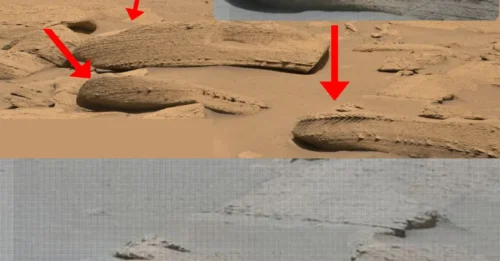 Groundbreaking Discovery: Fossil-Like Rock Found On Mars' Surface Proves Ancient Life Existed!