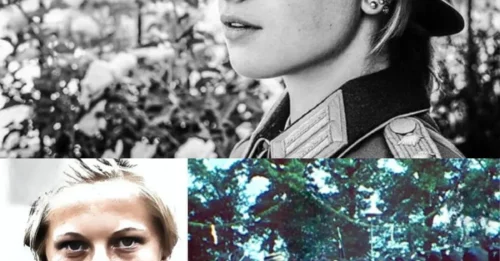 THE WRONG PATH OF A 22-YEAR-OLD GERMAN WOMAN WHO JOINED A NAZI UNDERGROUND UNIT: The Chilling Truth About Ilse Hirsch – The Notorious “Werewolf” Operative And the Unrelenting Price She Paid For Her Actions 7