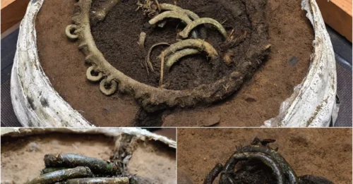 3,000-year-old Bronze Age Hoard Discovered During House Building Project in Scotland