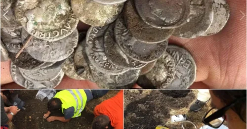 Lucky man once in his life discovered a treasure trove of 2,000-year-old Roman coins worth up to £200,000 buried in a farmer’s field