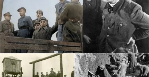 THE FURIOUS CROWD WATCHED AS THE 11 MOST BRUTAL NAZIS OF MAJDANEK TREMBLED: The Moment of Mass Execution to Deliver Justice for the 79,000 Victims They Had Harmed