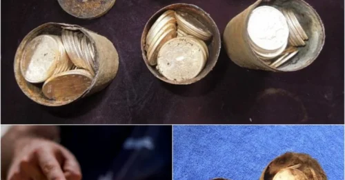 Walking their dog, they accidentally discovered sparkling gold under a tree: The couple discovered a huge treasure worth $10 million, including extremely rare gold coins that had been forgotten for more than a century.