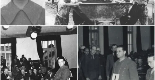 THE GALLOWS' DUE: Martin Gottfried Weiss – A Career of Carnage Spanning Dachau and Majdanek, From the Spring of 8,000 Deaths to the Unchecked Killings That Sealed His Fate.