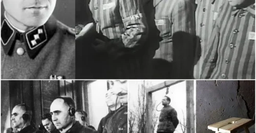 THE GESTAPO KING OF AUSCHWITZ: Maximilian Grabner – From Austrian Detective to the Devil's Right Hand – The Architect of 