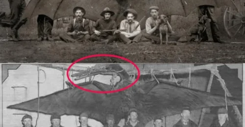 Massive Lizard Found: A Groundbreaking Discovery in Wildlife History!