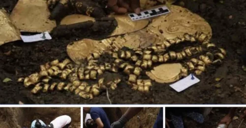 Precious Artifacts and Enigmatic Burial Rites – El Caño Reveals the Secrets of a Vanished Culture