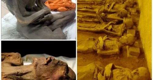 Extraordinary Discovery: Wonderfully Preserved Mummy of Monk Found in 17th Century Tomb