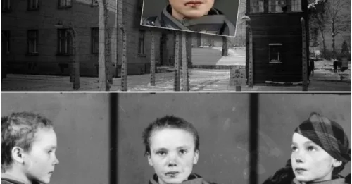 ANGEL IN HELL: The Fate of Czesława Kwoka – The Lip-Splitting Blow from the Female Guard and Her Tragic Three-Month Journey to Death in the Death Camp