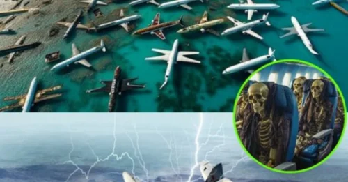 Scientists Stunned by Footage of Millions of Missing Aircraft Floating in the Bermuda Triangle