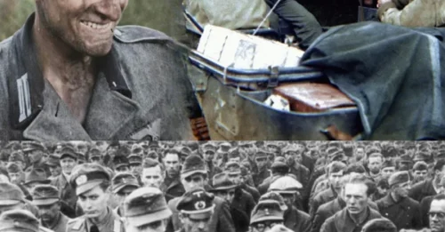 THE FINAL MOMENTS OF 2,000 NAZI PERSONNEL: How the Tragedy of 428 Yugoslav Civilians Led to One of WWII’s Largest Post-War Reckonings – Bringing Those Responsible Before Justice 7