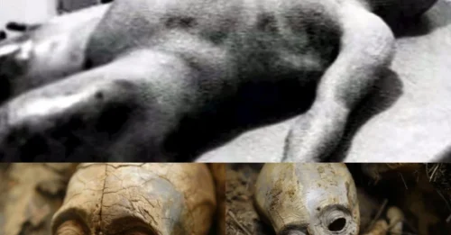 It’s unsettling to find a two million year old big-headed alien’s intact body within an Egyptian pyramid