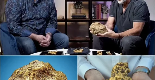 Treasure of the century: Lucky bulldozer driver discovers a giant 21-pound gold nugget as big as a child’s head worth $1 million