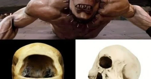 Indonesians Panic as Fossils of Mythical One-Eyed Monster Are Unearthed by Archaeologists