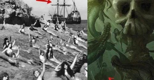 “Revealing the mystery”: The forgotten story of a 19th century shipwreck that shocked the world