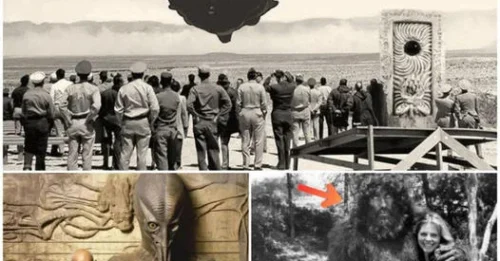 Diving into the world of mysterious alien sightings and eerie conspiracies, where truth hides in plain sight