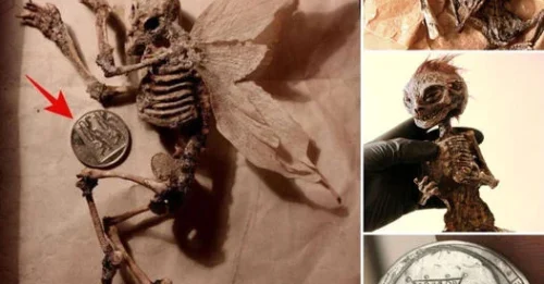 Unveiling the mystery of a 10,000yearold coin archaeologists redefine history with an unprecedented discovery that challenges all previous knowledge