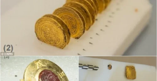 Fever discovery: Rare medieval treasure of more than 2,200 artifacts found in the monastery after more than 8 centuries of being buried