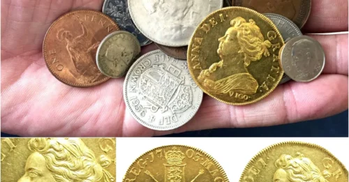 Toy chest reveals treasure lost 300 years ago. 35-year-old worker screams with joy because of the unbelievable amount of money