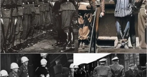 JUSTICE FOR THE 20 ANGELS OF BULLENHUSER DAMM: The Final Trembling, Pleading Moments of the Nazi Officers - The Price Paid for Treating Human Lives as Laboratory Specimens