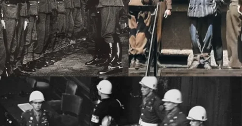 JUSTICE FOR THE 20 ANGELS OF BULLENHUSER DAMM: The Final Trembling, Pleading Moments of the Nazi Officers – The Price Paid for Treating Human Lives as Experimental Subjects 7