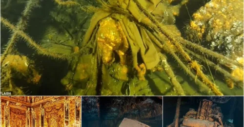 Map to forgotten treasure nearly 1,00 years ago: Treasure hunters have found the tunnel to the legendary £250 million Amber Room after discovering a secret tunnel network