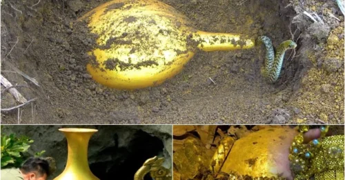 Once-in-a-lifetime discovery: Lucky man dug up an ancient gold vase buried deep underground dating back 3,500 years