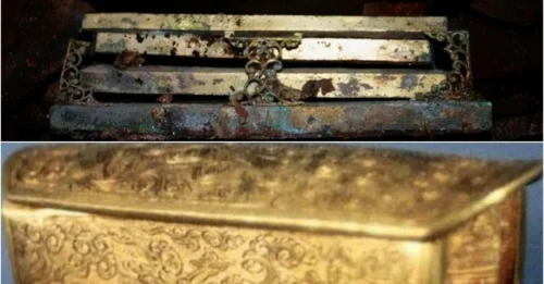 Unearthed Enigma: 1,200-Year-Old Solid Gold Coffin Baffles Expert