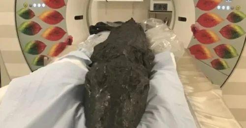 Researchers have unveiled remarkable details about a mummified crocodile by using 3D imaging technology