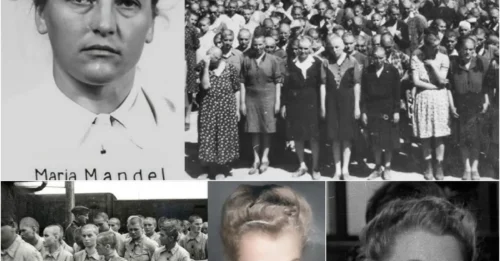 FROM QUEEN OF HELL TO CONDEMNED WOMAN: Maria Mandl - The Notoriously Cruel Female Guard Who Whipped Female Prisoners and Used Boiling Water, and the Fitting End for Her Crimes
