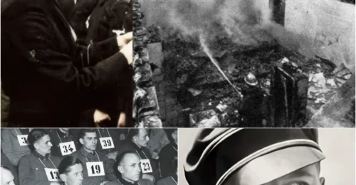 FROM NAZI OFFICER TO HUMAN TORCH: The Terrifying Death of Joachim Peiper - The War Criminal Who Escaped the Gallows Only to Die Mysteriously in a Sea of Flames as Final Punishment