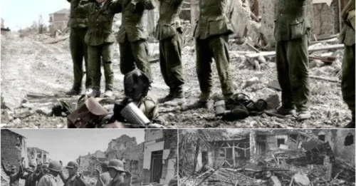 THE FOREST OF DEATH WHISPERED THEIR NAMES: 6,000 Latvian Souls Extinguished in a Single, Systematic Massacre – A Nazi Atrocity Buried by Time and Silence. HM