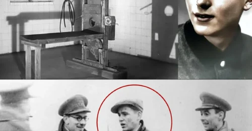 THE LAST INSTANTS OF THE DEGENERATE ADOLESCENT KILLER ON THE GUILLOTINE: Willi Herold – Nicknamed “The Executioner of Emsland” – At Just 19, Was So WICKED He SLAUGHTERED Over 170 People in a 2-Week BLOODLUST SPREE HM