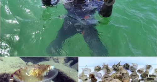 Underwater archaeologists discover 112 centuries-old glass vessels near Burgas, Bulgaria